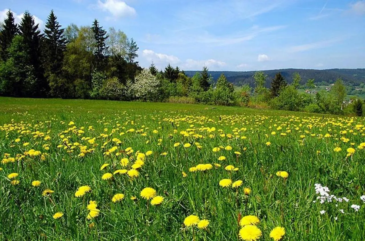 Pension Wiesengrund Neuschoenau 0*,  Germany
